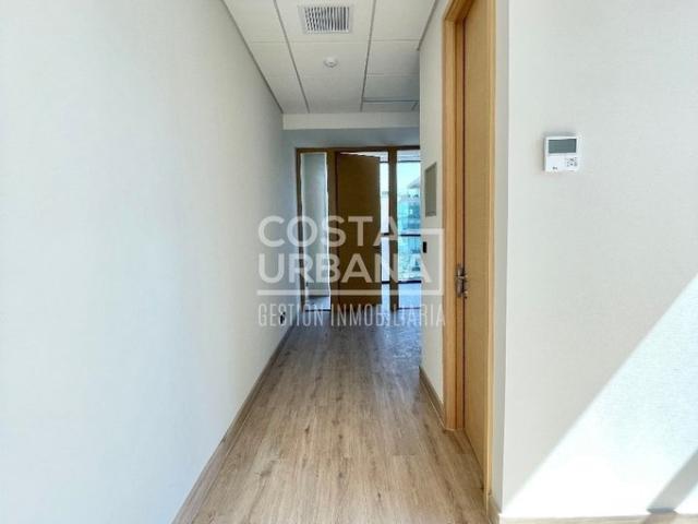 Viña del Mar, Calle Limache