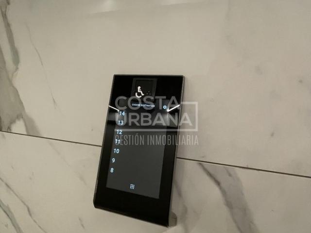 Viña del Mar, Calle Limache