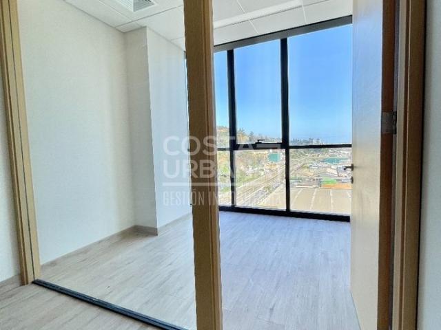 Viña del Mar, Calle Limache