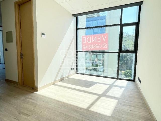 Viña del Mar, Calle Limache