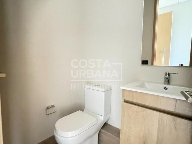 Viña del Mar, Calle Limache