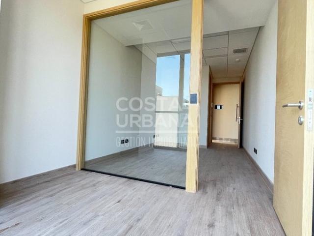 Viña del Mar, Calle Limache