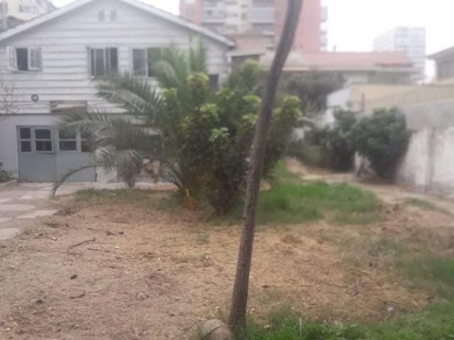 Viña del Mar, Viña del Mar