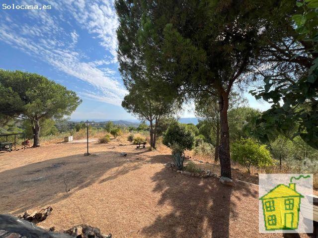 Local Comercial en venta en Andújar