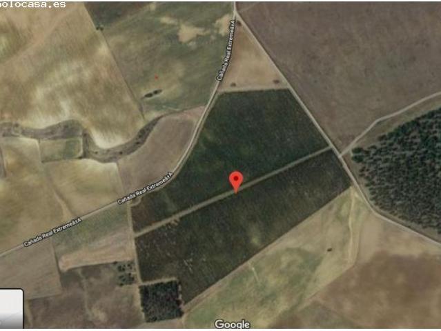 Local Comercial en venta en Castronuño, Castilla y León
