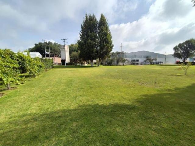 Viñedo de Uva en VENTA en Zacatecas