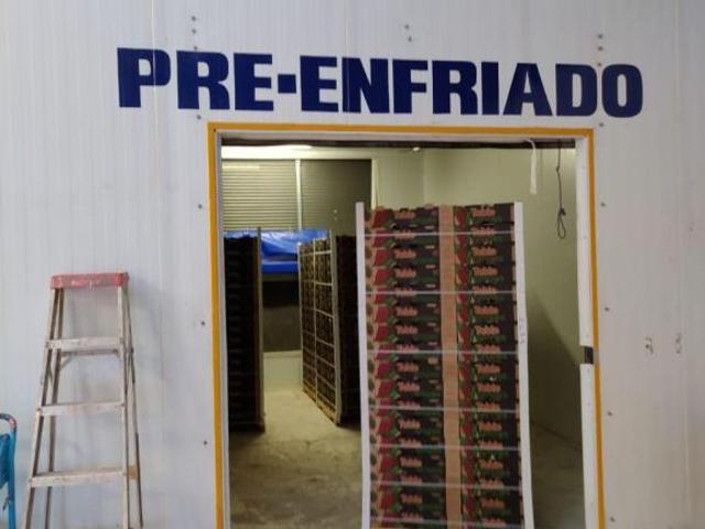 Viñedo de Uva en VENTA en Zacatecas