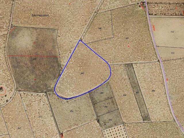 Terreno en venta en Miguel Esteban