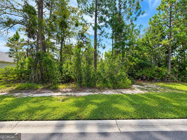 Land for sale in Kingsland, Camden County
