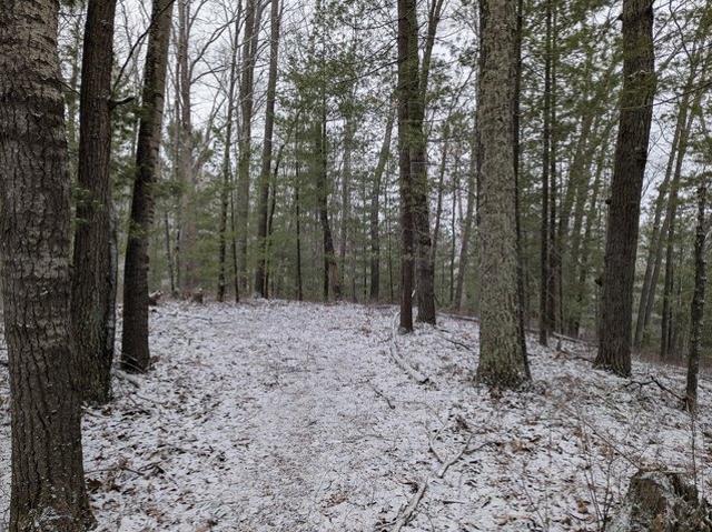 Land for sale in Lake City, Michigan