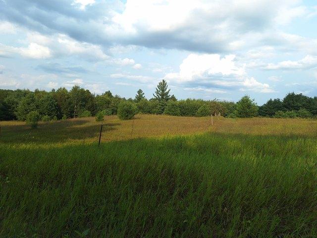 Land for sale in Leroy, Michigan