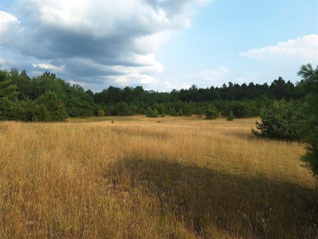 Land for sale in Michigan