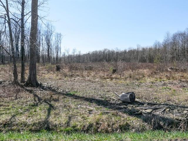 Land for sale in Kinsman, Ohio