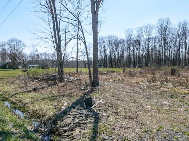 Land for sale in Kinsman, Ohio