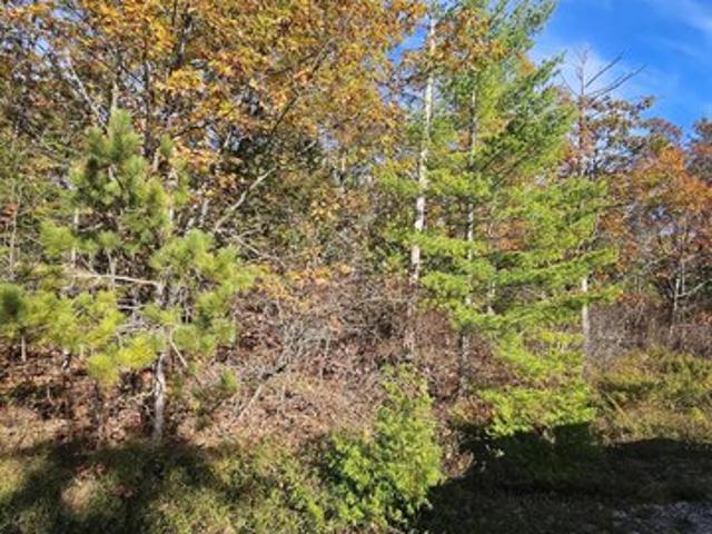Land for sale in Presque Isle, Michigan
