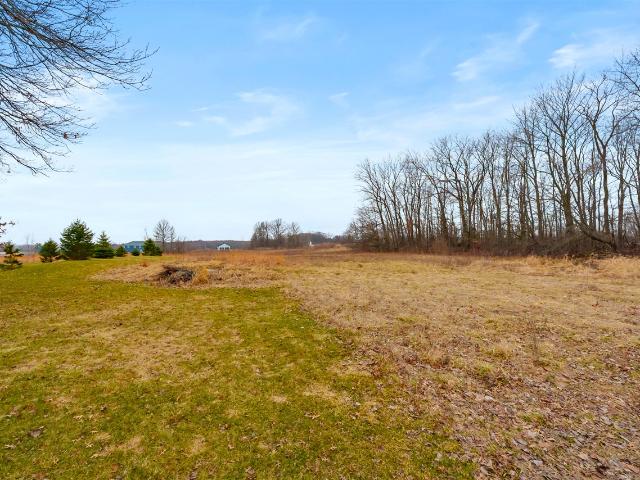 Land for sale in Bridgman, Michigan