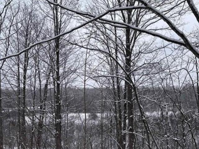 Land for sale in Green Lake, Michigan