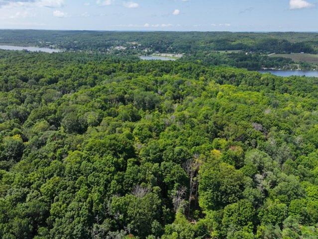 Land for sale in Central Lake, Michigan