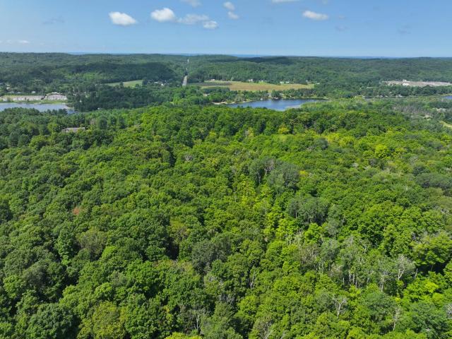 Land for sale in Central Lake, Michigan