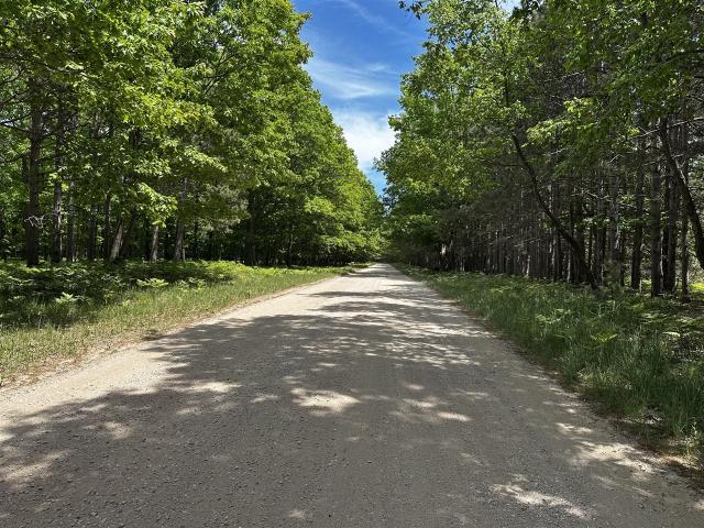 Land for sale in Michigan