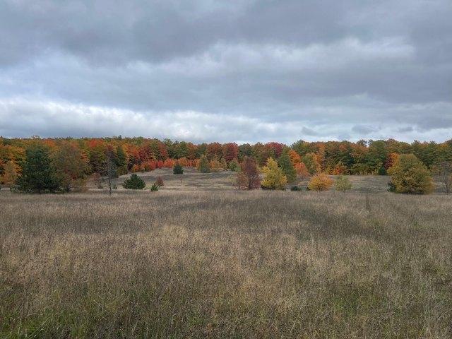 Land for sale in Wolverine, Michigan