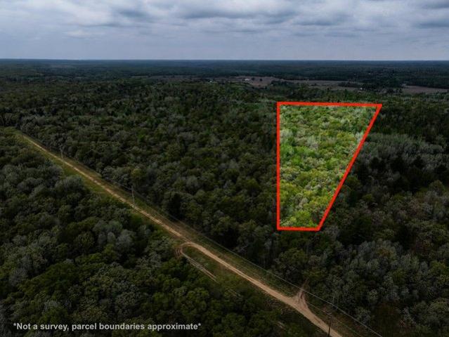 Land for sale in Grant, Michigan