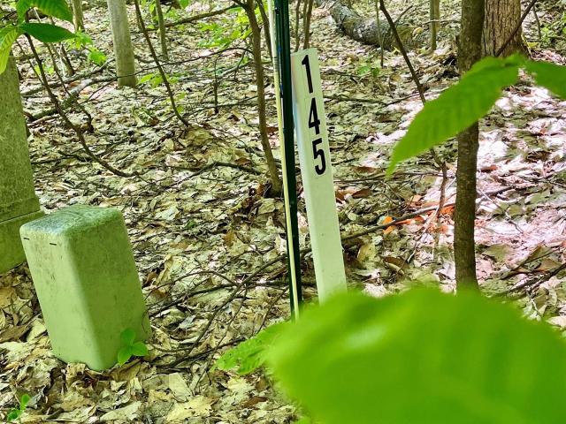 Land for sale in Michigan