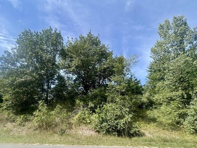 Land for sale in Holland, Ottawa County