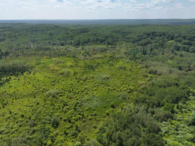 Land for sale in Michigan