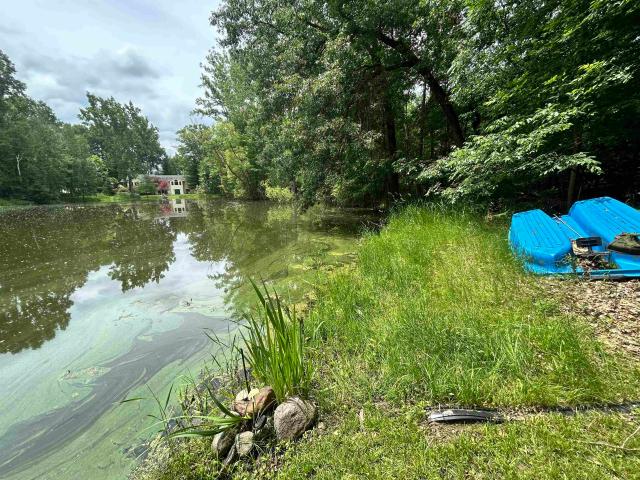 Land for sale in Michigan