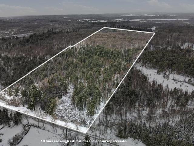 Land for sale in Leroy, Michigan