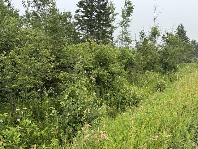 Land for sale in Cheboygan, Michigan