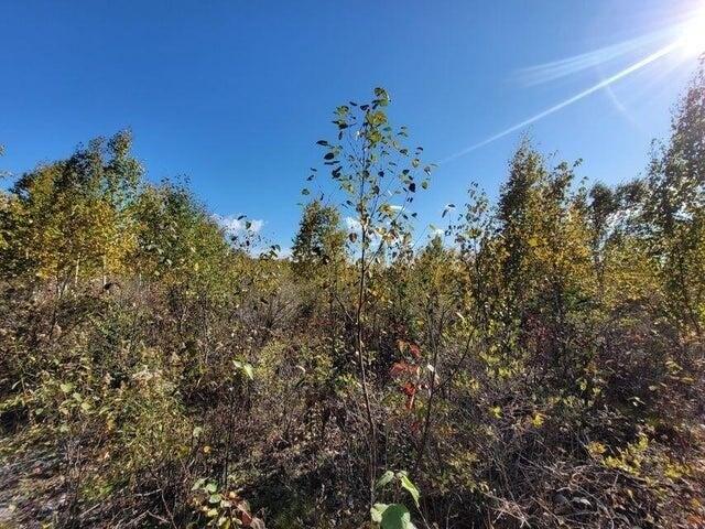Land for sale in Rogers City, Presque Isle County