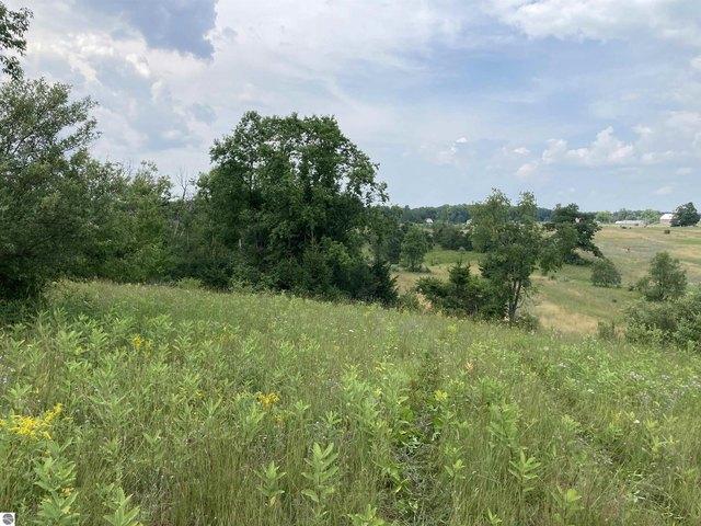 Land for sale in Rose City, Michigan