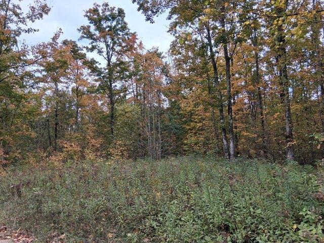Land for sale in Elmira, Michigan