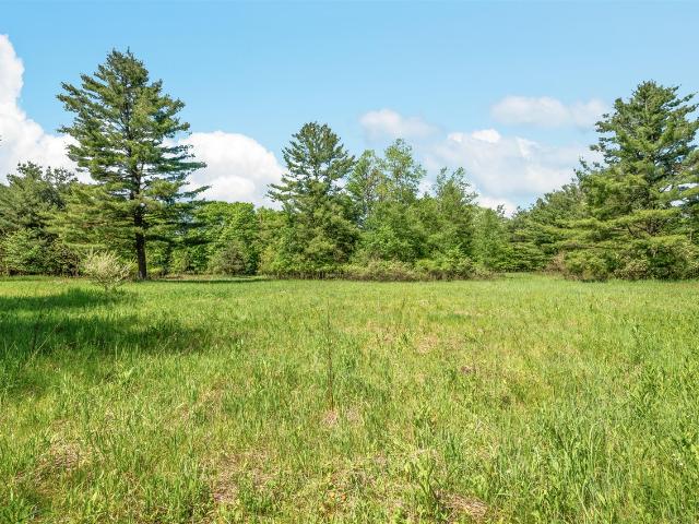 Land for sale in Michigan