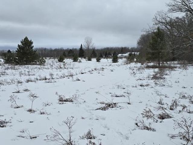 Land for sale in Roscommon, Roscommon County