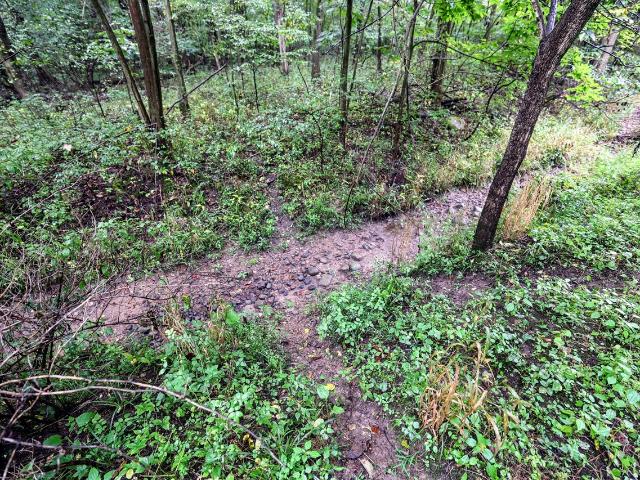 Land for sale in Clarendon Township, Calhoun County