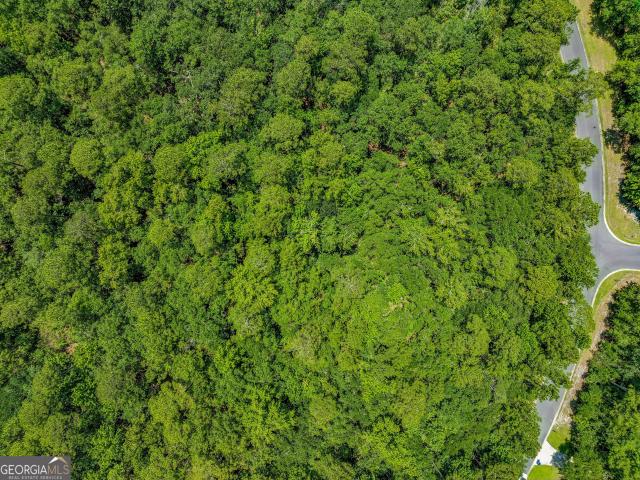 Land for sale in White Oak, Georgia