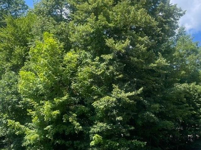 Land for sale in Huron, Ohio