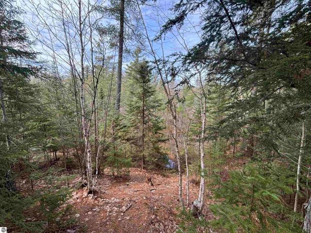 Land for sale in Michigan