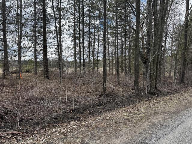 Land for sale in Chase, Michigan