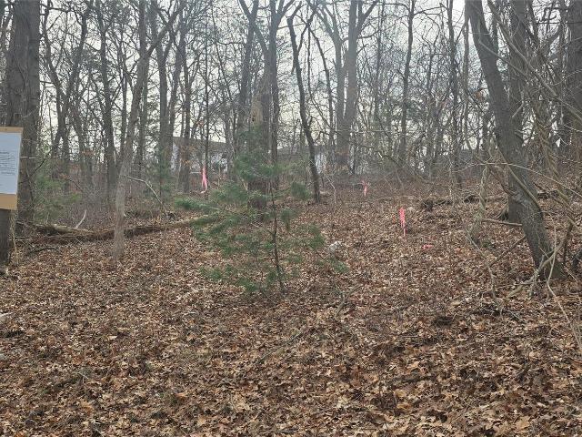 Land for sale in Centereach, New York