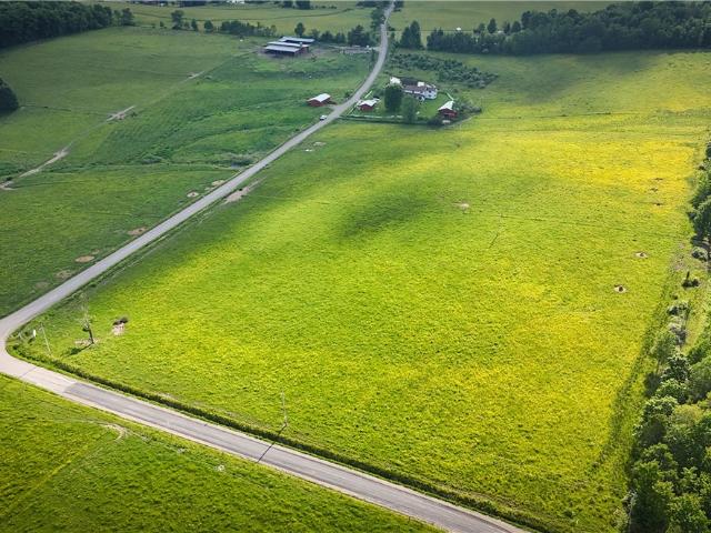 Land for sale in Chemung, New York