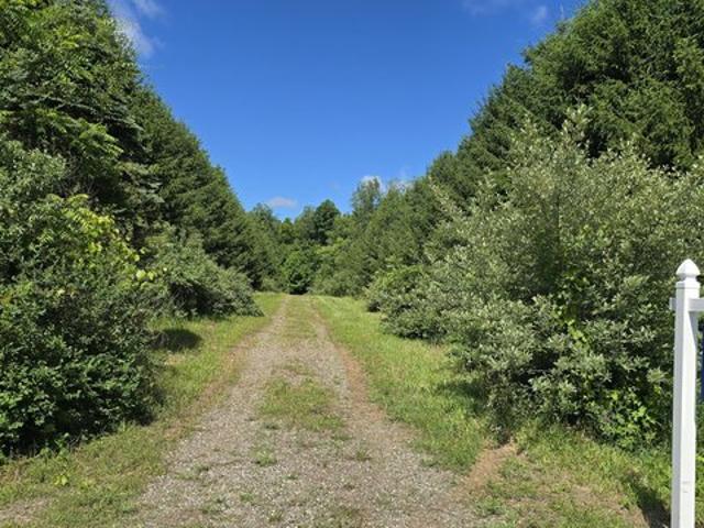 Land for sale in Gobles, Michigan
