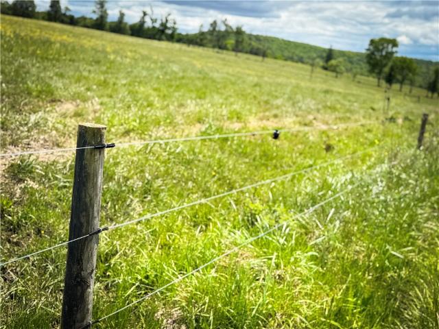 Land for sale in Chemung, New York