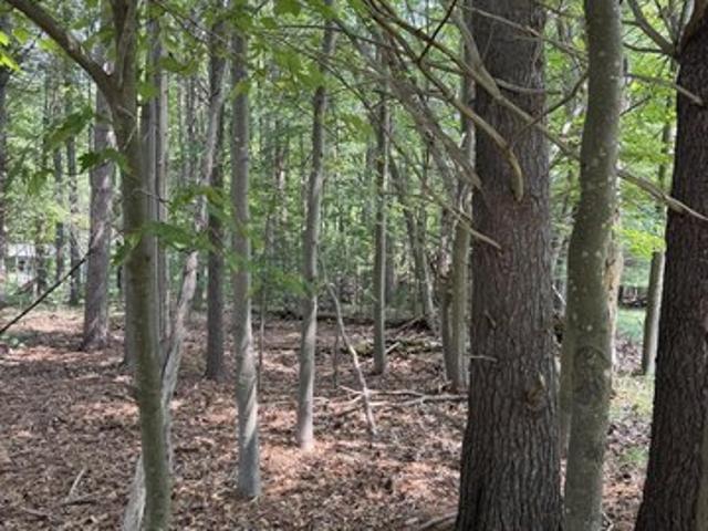 Land for sale in Pentwater, Michigan