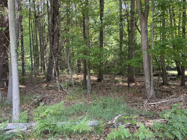 Land for sale in Pentwater, Michigan