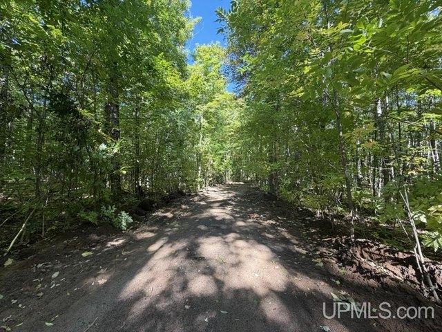 Land for sale in Skanee, Arvon Township