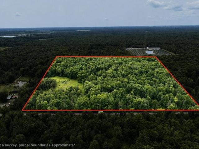Land for sale in Turner, Arenac County